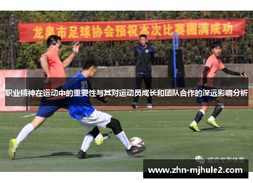 职业精神在运动中的重要性与其对运动员成长和团队合作的深远影响分析